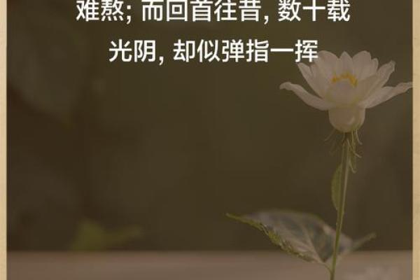 一日之长是什么生肖 一日之长打一正确生肖