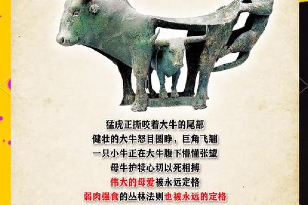 ‌初生牛犊不怕虎 → 牛（牛犊无畏，直面虎威）‌