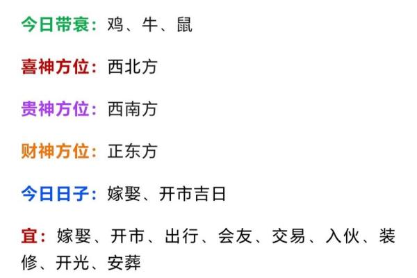 1972年属鼠人2023年每月运势详解，健康事业财运感情完整解析
