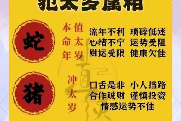 属龙人今天的运气和财运 属龙的人今天的运势和财运方位