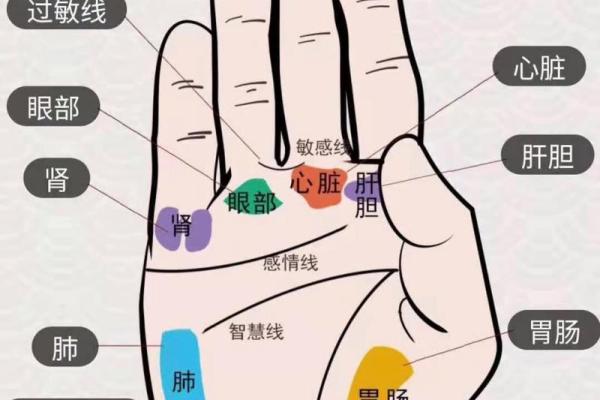 无名指高于食指有什么说法 无名指高于食指有什么说法嘛