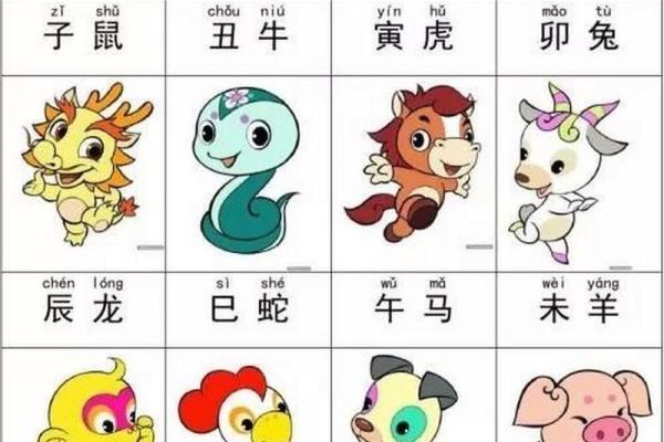 请问在中国传统文化中，大肖具体指的是哪几个生肖动物呢？
