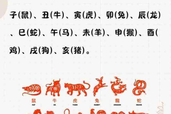 请问在中国传统文化中，大肖具体指的是哪几个生肖动物呢？