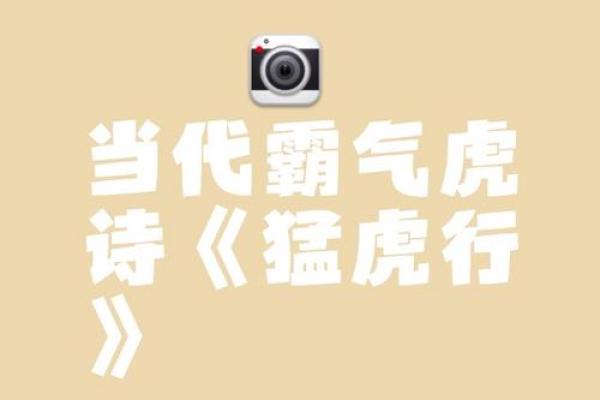 ‌独行天下打一生肖 → 虎‌（虎啸独行，王者无伴）