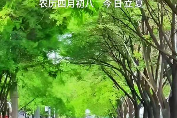2021年5月5日立夏具体时间是在当天几点几分开始？