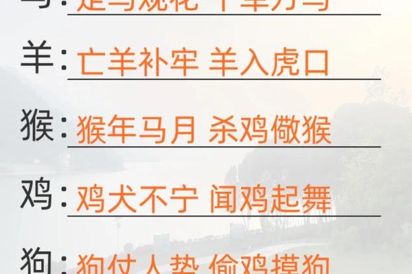 琳琅满目打一个生肖 琳琅满目打一动物正确答案