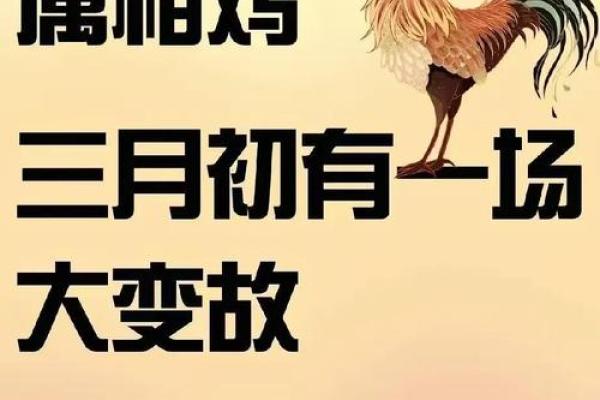 属鸡的兴家月是几月 属相鸡几月