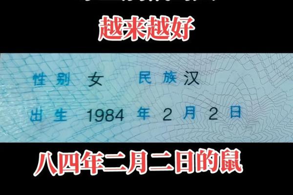 1984年属鼠几月出生好 1984年属鼠和什么属相最配