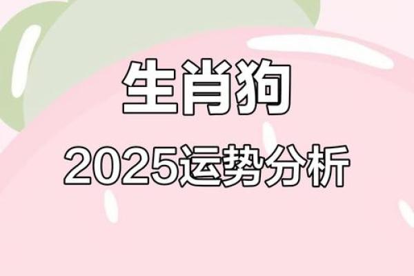 2025年属狗者的财运贵人可能在哪个方向出现需要提前准备什么？