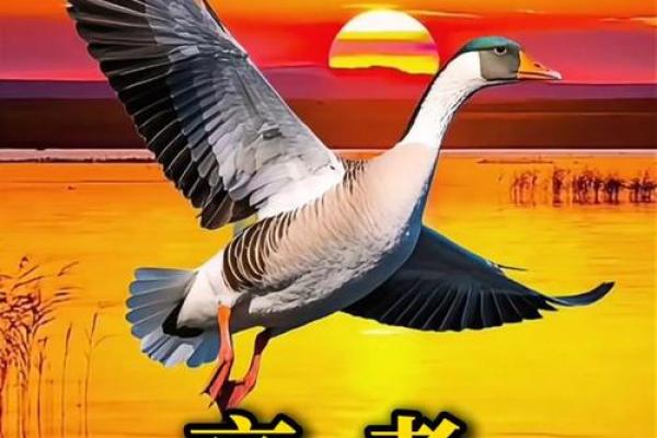 ‌金榜题名指什么生肖 → 马（马跃龙门，金榜题名）‌