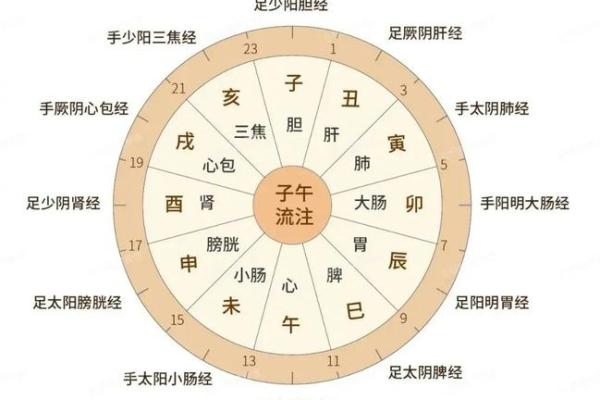 上午是哪个时间段 上午哪个时间段最好