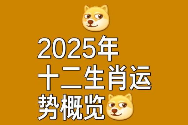 1972年属鼠女性53岁2025年运势详解及每月得把眼睛擦亮了