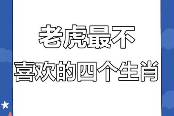 虎虎属相合不合 虎虎合吗