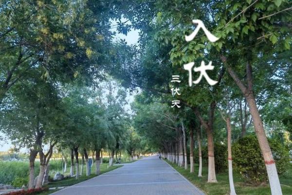 2021年头伏是哪一天(2021年头伏是那一天)