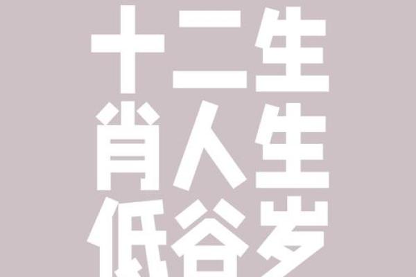 苦海无涯打一个正确生肖(苦海无涯的下一句是啥)