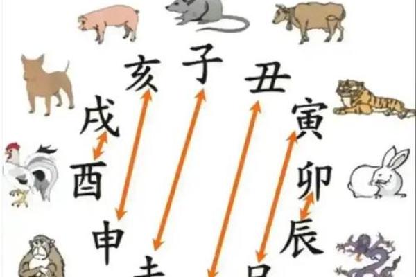 属鼠2025年运势如何，犯太岁的话应该如何化解与转运