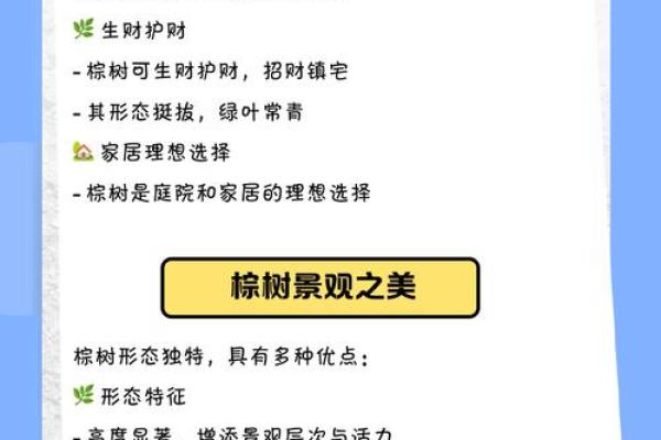 棕树最忌三种属相 棕树对风水好不好