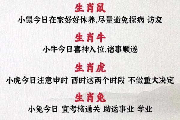 2025年12月新车提车吉日推荐与生肖运势匹配指南