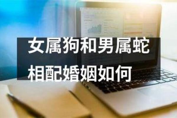 1977年属蛇的最佳婚配 1977年属蛇的最佳婚配82年狗女