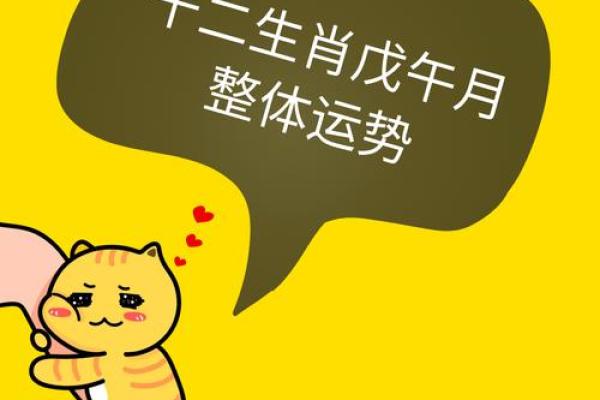 2013年生肖运程