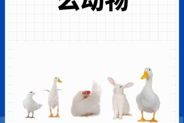 春华秋实着个成语在十二生肖中具体指的是哪个动物？