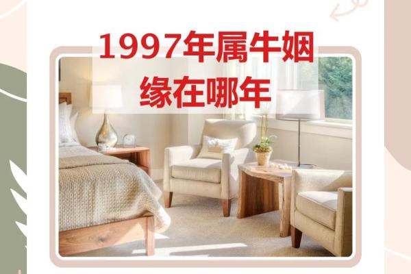 1997年属牛最佳婚配属相 1997属牛最佳婚配属相是什么呢