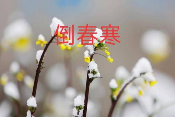 腊月打雷老话是怎么说的有什么科学依据吗