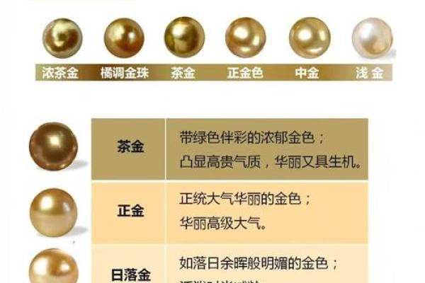 南洋是什么 南洋是什么意思