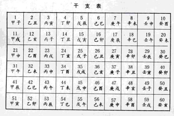 酉时是属什么生肖 酉时属什么生肖,他们有什么运势