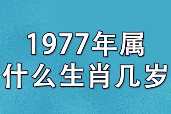 属相什么时候开始有的 属相何时开始或结束