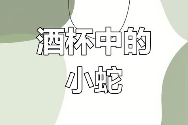 ‌杯弓蛇影打一生肖 → 蛇（蛇影入杯，惊弓之疑）‌