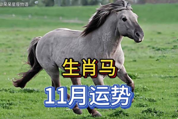 男马几月出生最好 生肖马男几月出生好