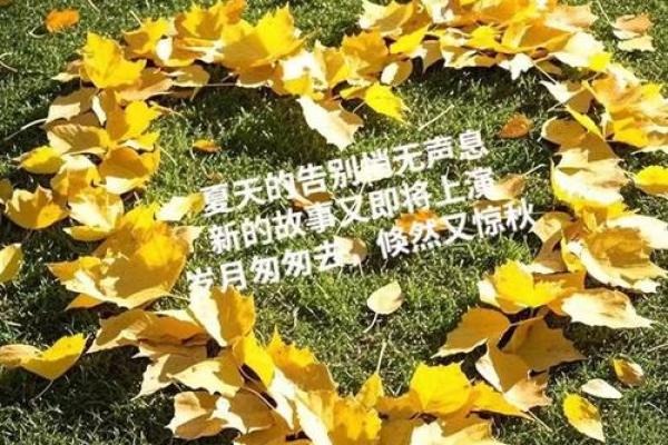 2024年立秋是8月8日，着个时间点算早还是晚呢？