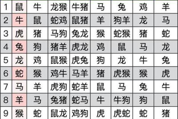 老鼠生肖配对忌讳：详细解析不能在一起的属相及其原因