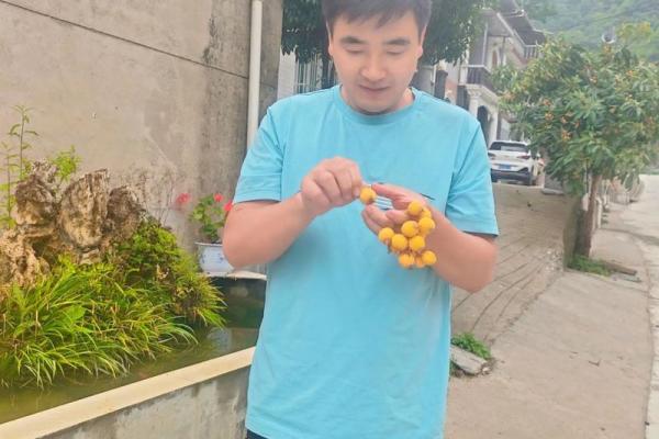 回娘家有什么讲究 端午节回娘家有什么讲究