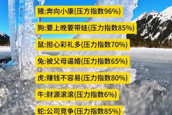 小康生活水平对应的生肖代表是哪一个，如何解读其象征意义？
