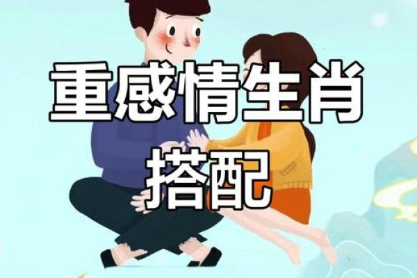 属马和什么属相不和 属马和什么属相不和婚姻