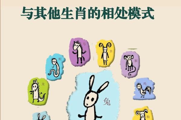 属猪的人2013年运程(属猪的人2013)