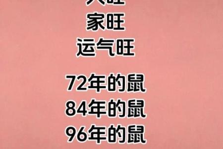 1972年属鼠人幸运数字查询，今年运势如何提升？