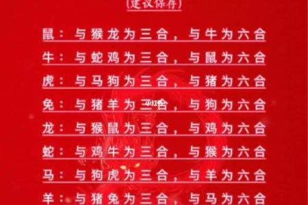 夫妻两个都属鼠合不合 夫妻俩人都属鼠好吗