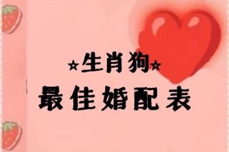 1994属狗的属相婚配表 94年属狗最配的属相