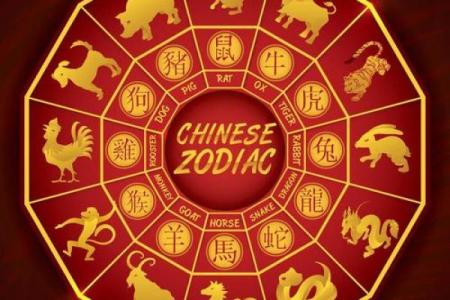 女虎男马的属相合不合 虎和马在一起谁带财