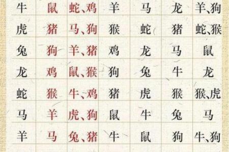 随口乱说是什么生肖
