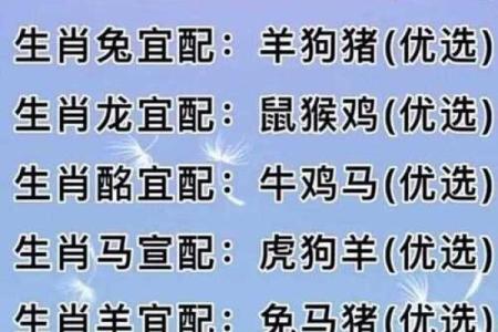 2002年属马的属相婚配表 2002年属马的是什么命婚配