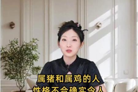 女鸡和男猪的属相合不合 属鸡的和属鸡的合不合
