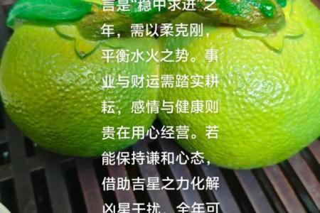 1984年属鼠女2025年运势详解，事业财运健康全解析