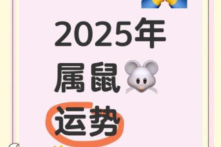 2025年属鼠人每月运势运程完整版，需要注意哪些事项
