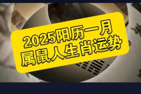 鼠人2025年全年运势详解及每月运程完整版