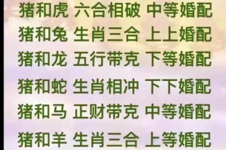 男龙和女羊属相合不合 龙男和女猪属相合不合