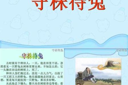 守株待兔是什么生肖